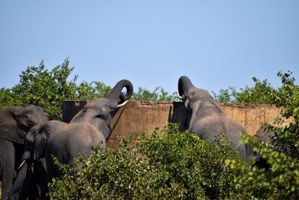 South Africa